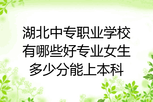 湖北中专职业学校有哪些好专业女生多少分能上本科