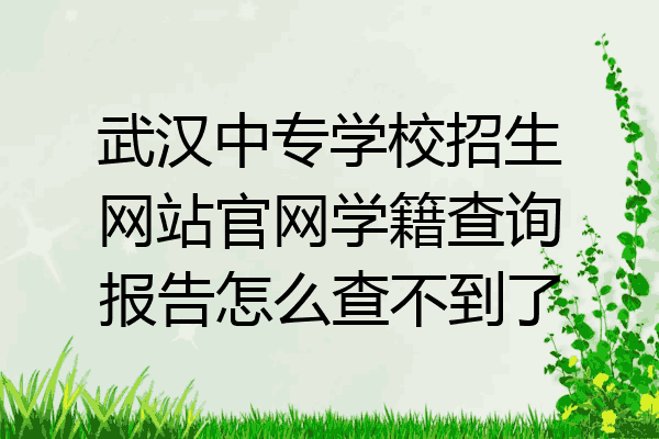 武汉中专学校招生网站官网学籍查询报告怎么查不到了
