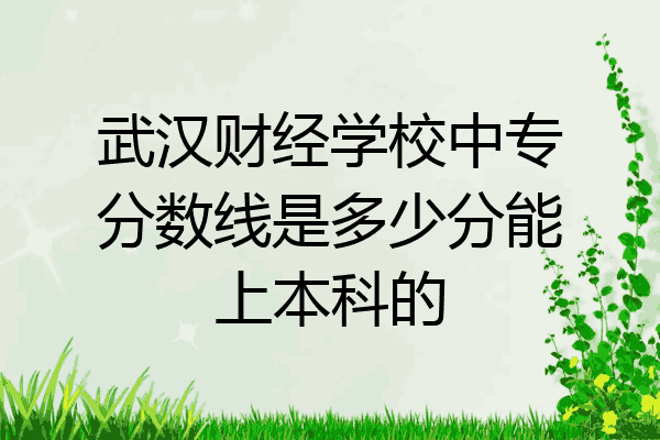 武汉财经学校中专分数线是多少分能上本科的