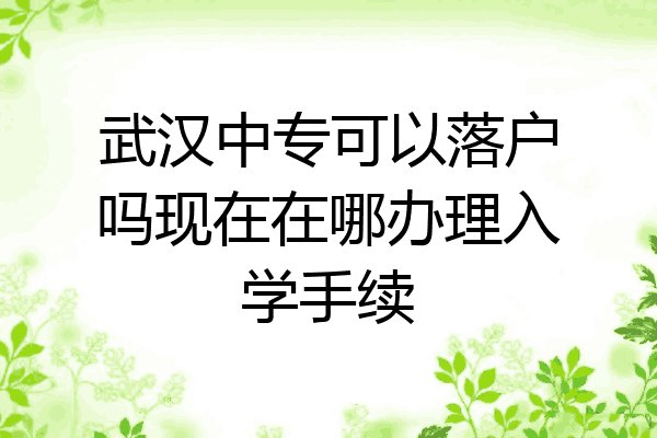 武汉中专可以落户吗现在在哪办理入学手续