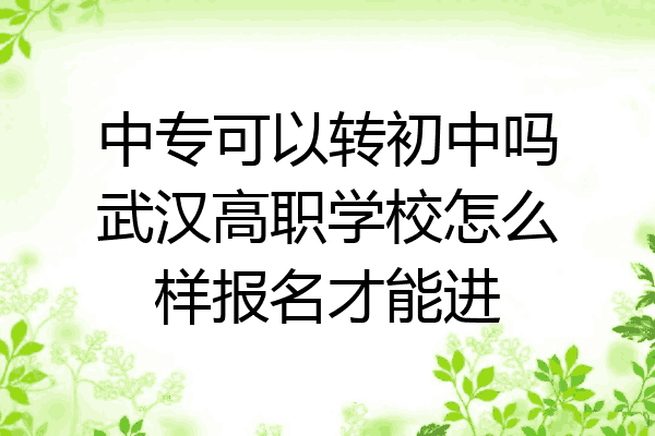 中专可以转初中吗武汉高职学校怎么样报名才能进