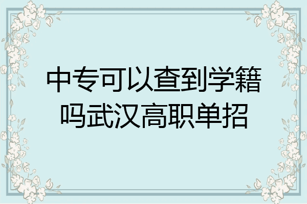 中专可以查到学籍吗武汉高职单招