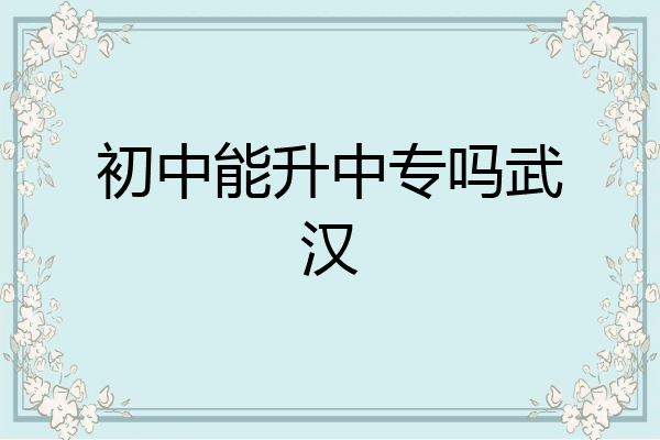 初中能升中专吗武汉