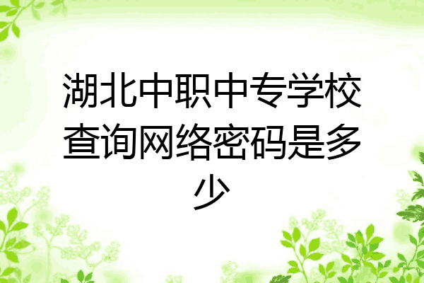 湖北中职中专学校查询网络密码是多少