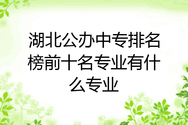 湖北公办中专排名榜前十名专业有什么专业