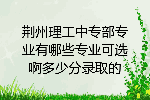 荆州理工中专部专业有哪些专业可选啊多少分录取的