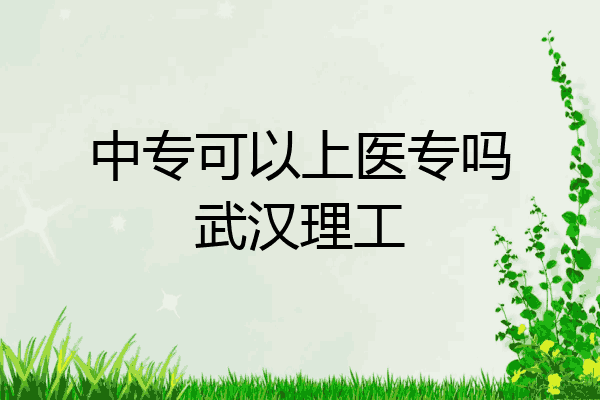 中专可以上医专吗武汉理工