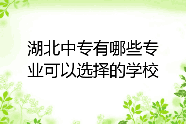湖北中专有哪些专业可以选择的学校