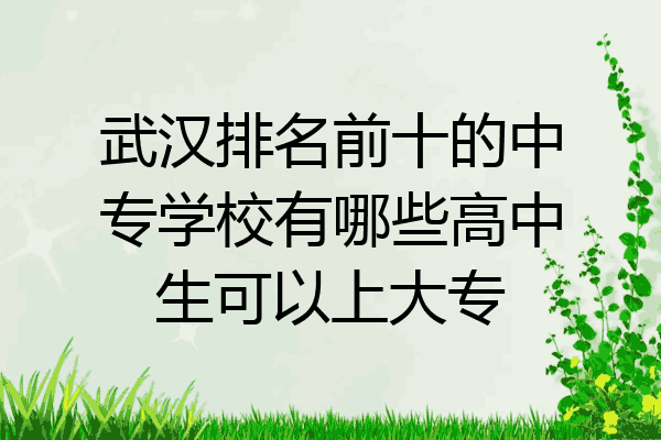 武汉排名前十的中专学校有哪些高中生可以上大专