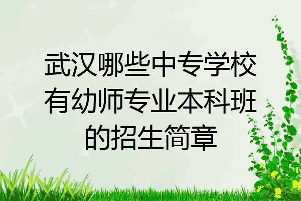 武汉哪些中专学校有幼师专业本科班的招生简章