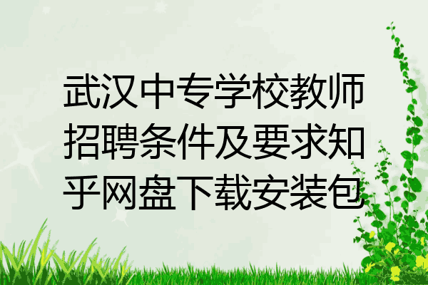 武汉中专学校教师招聘条件及要求知乎网盘下载安装包
