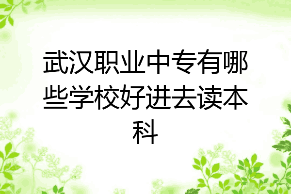 武汉职业中专有哪些学校好进去读本科