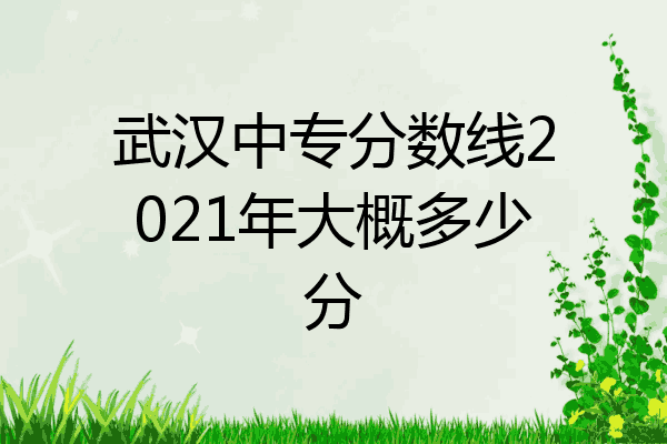 武汉中专分数线2021年大概多少分