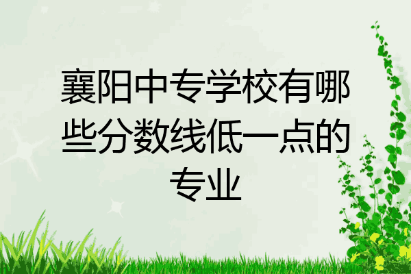 襄阳中专学校有哪些分数线低一点的专业