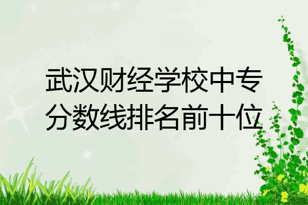 武汉财经学校中专分数线排名前十位