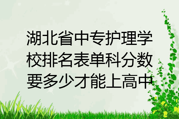 湖北省中专护理学校排名表单科分数要多少才能上高中