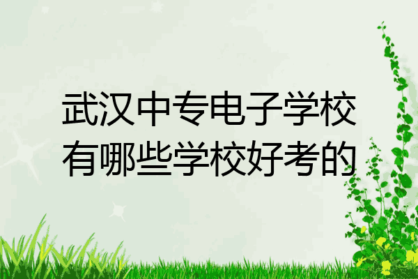 武汉中专电子学校有哪些学校好考的