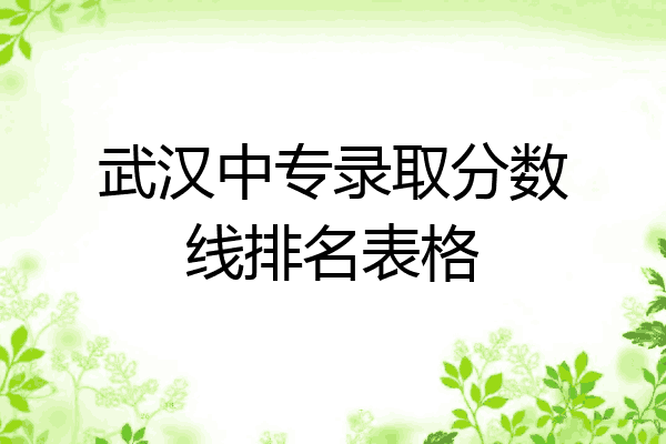 武汉中专录取分数线排名表格