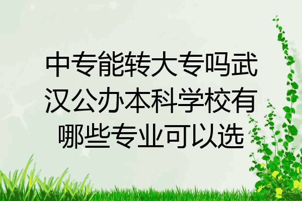 中专能转大专吗武汉公办本科学校有哪些专业可以选
