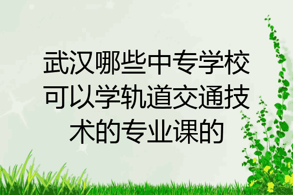 武汉哪些中专学校可以学轨道交通技术的专业课的