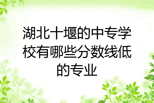 湖北十堰的中专学校有哪些分数线低的专业
