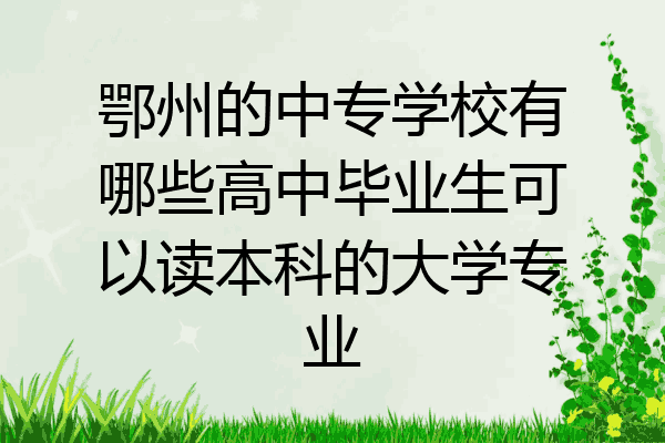 鄂州的中专学校有哪些高中毕业生可以读本科的大学专业