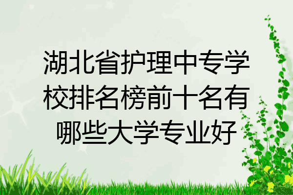 湖北省护理中专学校排名榜前十名有哪些大学专业好