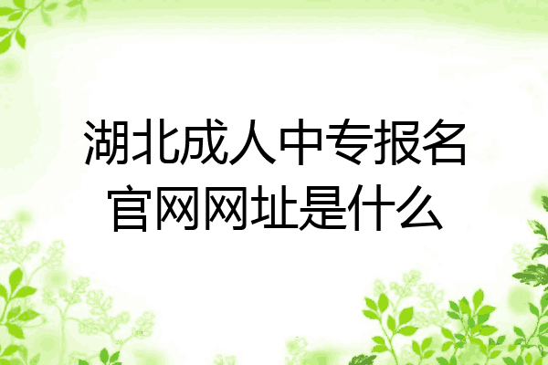 湖北成人中专报名官网网址是什么