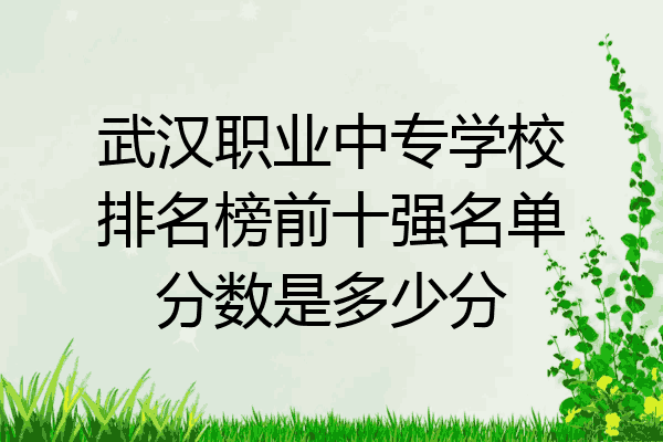 武汉职业中专学校排名榜前十强名单分数是多少分