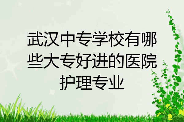 武汉中专学校有哪些大专好进的医院护理专业