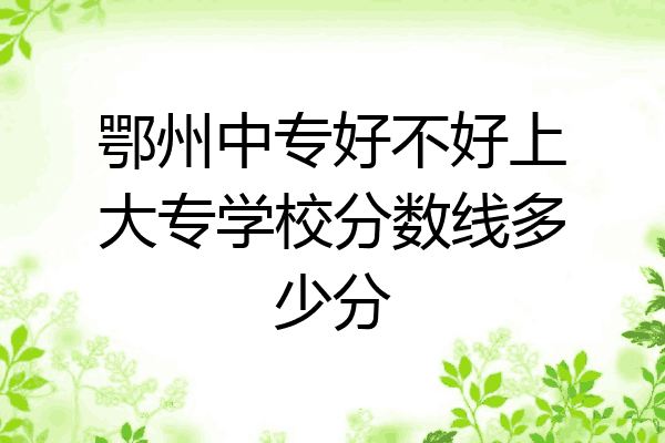 鄂州中专好不好上大专学校分数线多少分