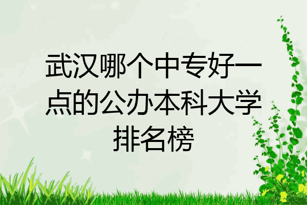 武汉哪个中专好一点的公办本科大学排名榜