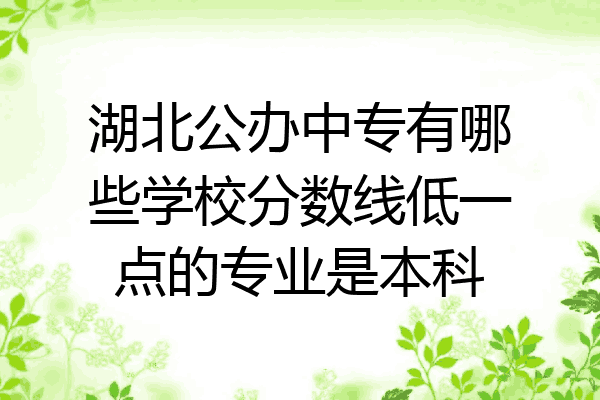 湖北公办中专有哪些学校分数线低一点的专业是本科