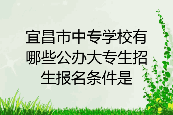 宜昌市中专学校有哪些公办大专生招生报名条件是