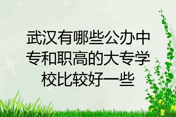 武汉有哪些公办中专和职高的大专学校比较好一些