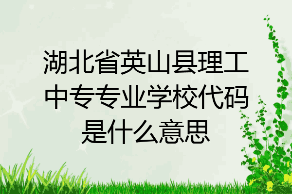 湖北省英山县理工中专专业学校代码是什么意思