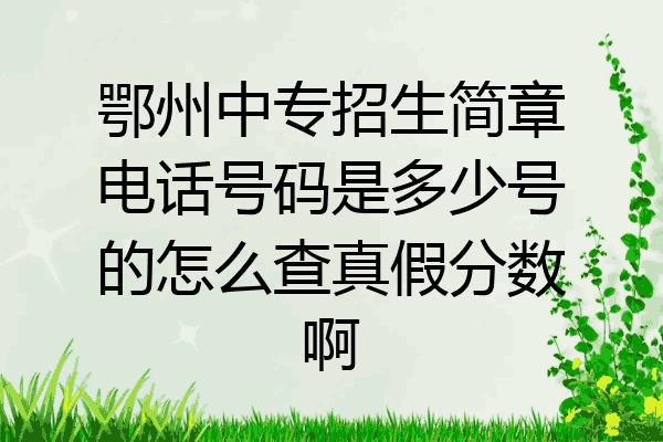 鄂州中专招生简章电话号码是多少号的怎么查真假分数啊