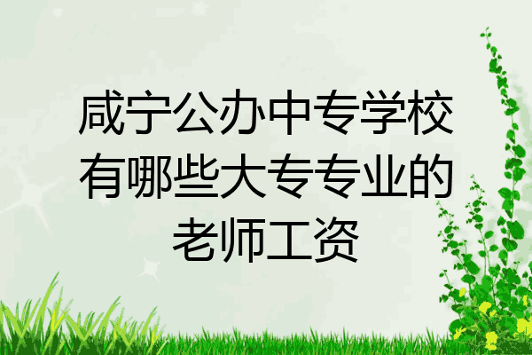 咸宁公办中专学校有哪些大专专业的老师工资