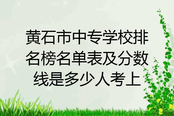黄石市中专学校排名榜名单表及分数线是多少人考上