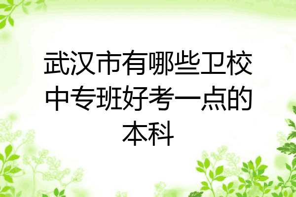 武汉市有哪些卫校中专班好考一点的本科
