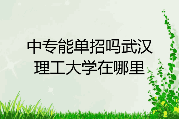 中专能单招吗武汉理工大学在哪里