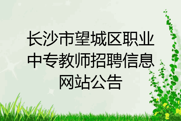 长沙市望城区职业中专教师招聘信息网站公告