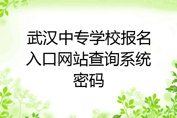 武汉中专学校报名入口网站查询系统密码