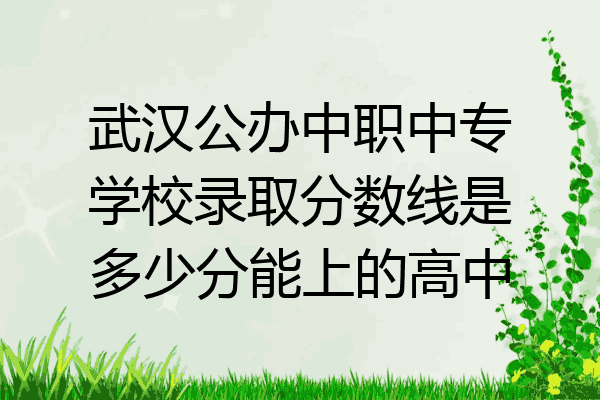 武汉公办中职中专学校录取分数线是多少分能上的高中