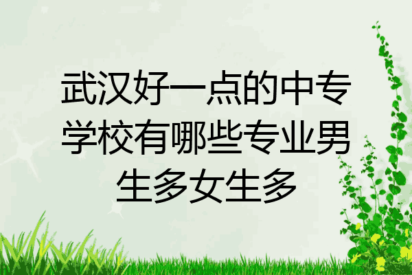武汉好一点的中专学校有哪些专业男生多女生多