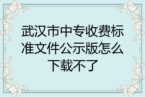 武汉市中专收费标准文件公示版怎么下载不了