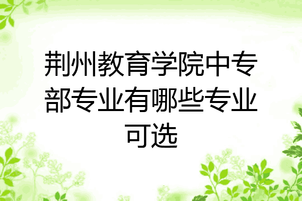 荆州教育学院中专部专业有哪些专业可选