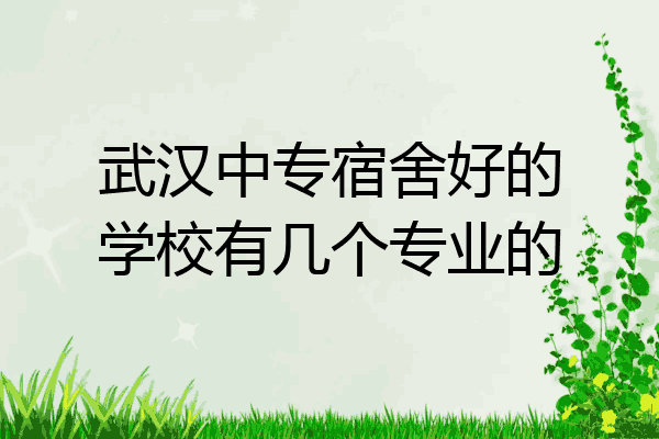 武汉中专宿舍好的学校有几个专业的