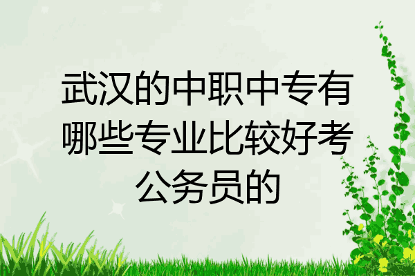 武汉的中职中专有哪些专业比较好考公务员的