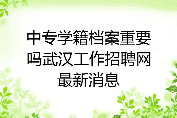 中专学籍档案重要吗武汉工作招聘网最新消息